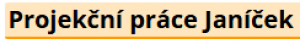 Projekční práce Janíček